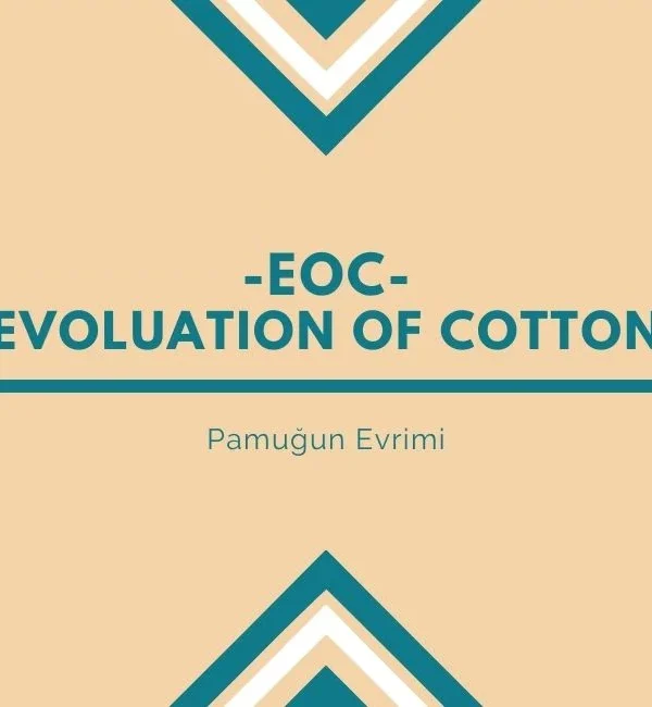 The Story of Evolving Cotton for a Better Future