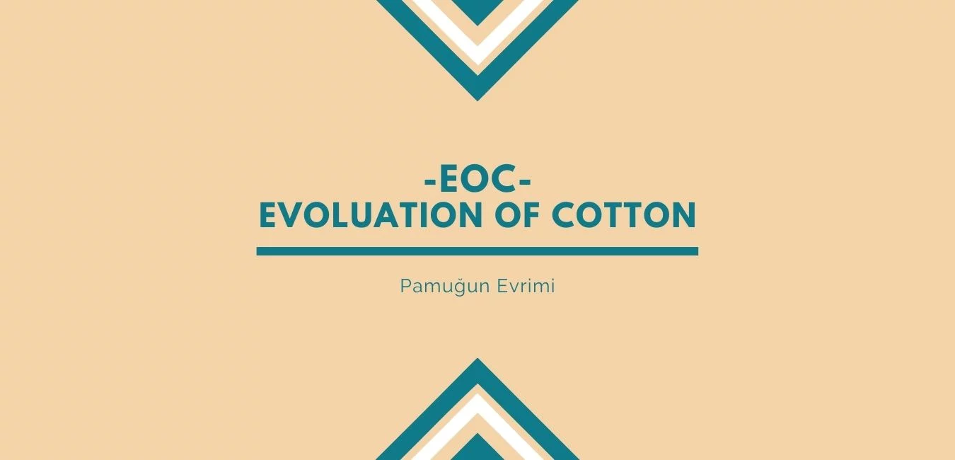 The Story of Evolving Cotton for a Better Future